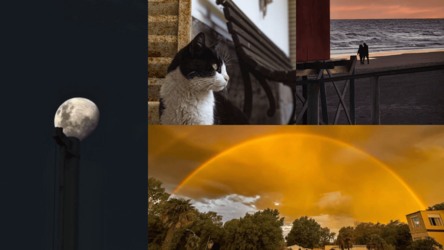 Las fotos de la semana en el Instagram de La Nueva.