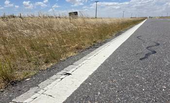 Estado de las banquinas y deterioro del asfalto en las rutas