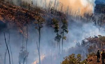 Incendios en Chubut: controlaron algunos focos en El Turbio