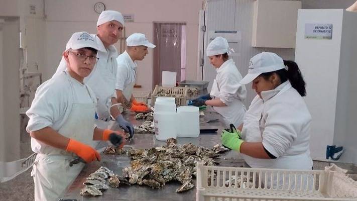 Cómo una especie invasora se convierte en una oportunidad productiva