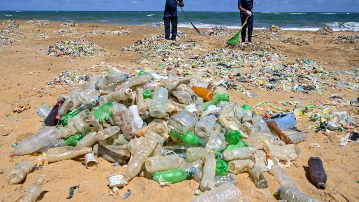 Nueve ideas simples para reutilizar una botella  de plástico