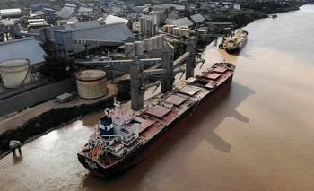 La agroindustria se adapta para exportar a las nuevas reglas europeas contra la deforestación