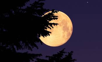 La Luna, en la mira de Rusia: enviarán un explorador robótico para evaluar una base lunar