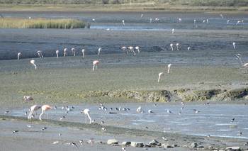 Los 12 años de HAPIC