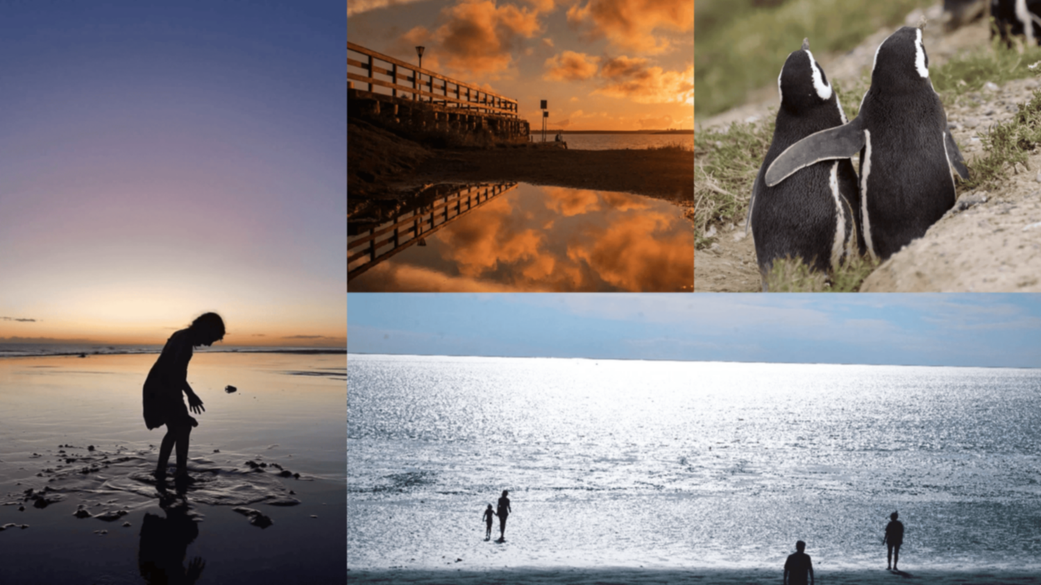 Las fotos de la semana en el Instagram de La Nueva.