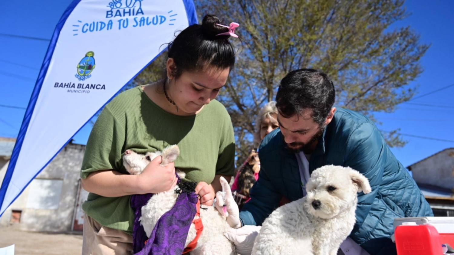Veterinaria y zoonosis: días de atención en la semana