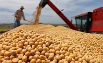 La liquidación del agro creció 25% en 2025 al totalizar más de US$31.300 millones